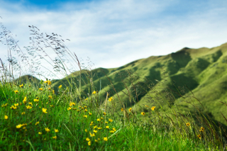 Photo of green, grassy hills
